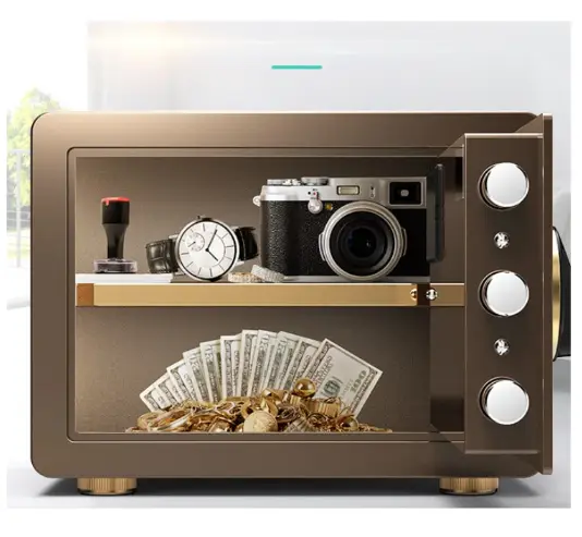 Steel Mini Money Safe Box with Fingerprint & Password Lock for Hostels or Home Caja Fuerte — image 6