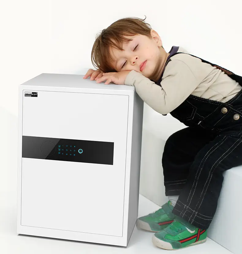 Home Smart Electronic Digital Safe Box Fingerprint Jewelry Money Safe Coffre Fort Hidden Secret Wall Safes — view 1