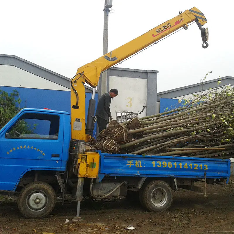 SQ3.2SK2Q 3500 kg 3.5t Small Telescopic Boom Truck Mounted Crane — image 4