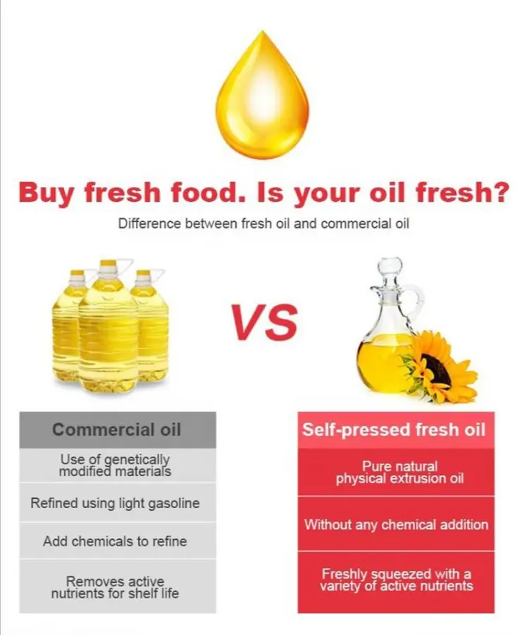 Oil Press Machine Commercial Oil Extractor Expeller Cold Pressed Linseed Oil Maker — image 4