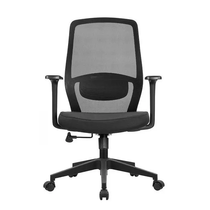 Modern Adjustable Mesh Executive Office Chair with Height Adjustable Swivel Base Saber Legs-Factory Wholesale Chair — view 1