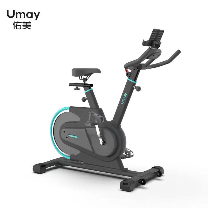 Umay 6.5kg Flywheel Indoor Exercise Cycle Machine Magnetic Spin Bike Fitness Equipment — view 1