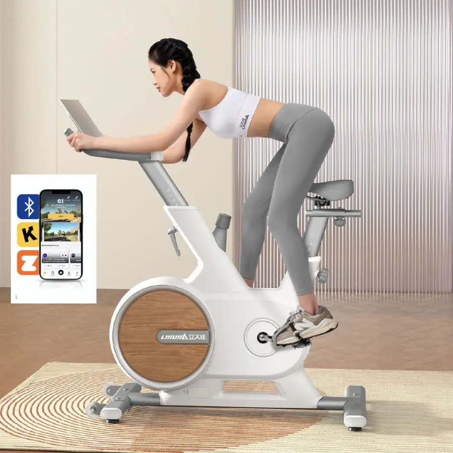 Lijiujia Hot Selling 6kgs Flywheel Weight Manual Magnetic Indoor Exercise Bike Profesional Spinning Bike — view 1