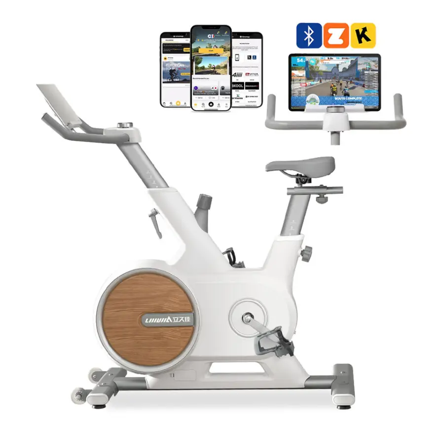 Lijiujia Hot Selling 6kgs Flywheel Weight Manual Magnetic Indoor Exercise Bike Profesional Spinning Bike — image 7