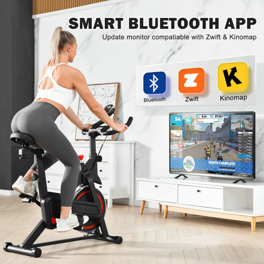 Lijiujia Factory Wholesale Wool Felt Spinning Bike for Home — image 3