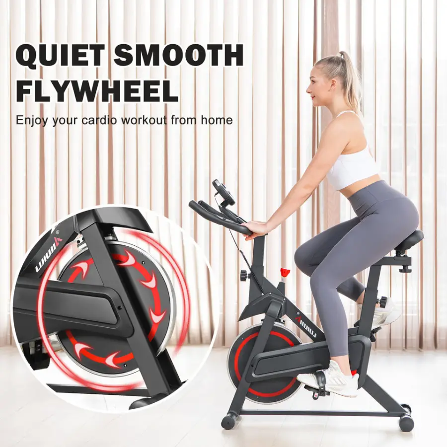 Lijiujia Factory Wholesale Wool Felt Spinning Bike for Home — image 4