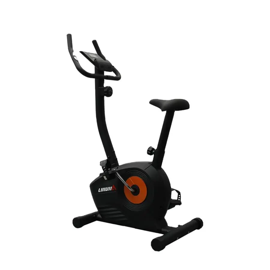 Lijiujia Unisex Indoor Fitness Exercise Bike 3Kgs Flywheel Weight Upright Spinning Bike Home Gym Use Steel — view 1