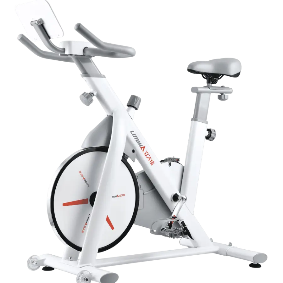 For Lijiujia D300C 6kg Flywheel Weight Workout Cycle for Fitness Spinning Bike Built-in Receiver Infinite Variable Contr — view 1