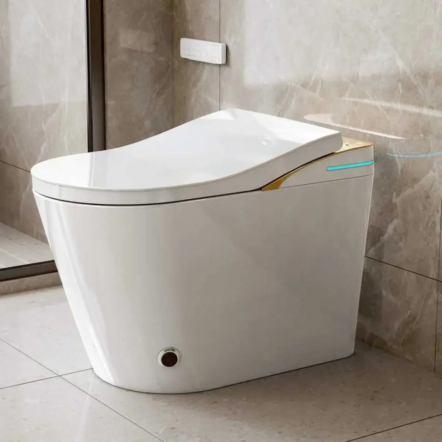 One-Piece Smart Toilet with Built-in Tank Booster Pump Rotary Knob Instant Heating Foot Sensor Auto Flush Foam Shield — view 1