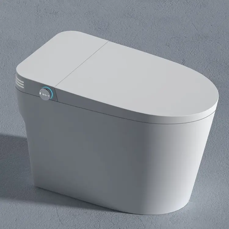 New Type Mechanical Flushing Silent Quick-flush No Water Pressure Limit Aromatherapy Deodorizing Large Seat Seat Smart Toilet — image 3