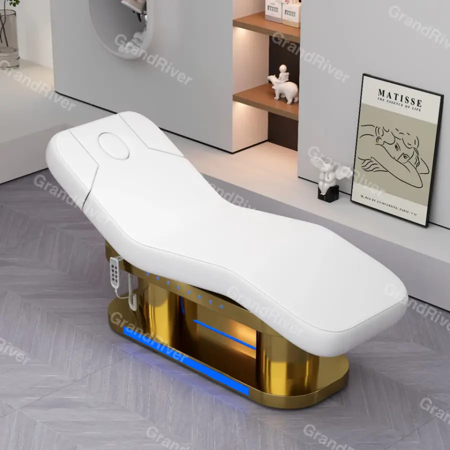 Modern Hot Selling SPA and Facial Treat Equipment and Massage Table with Oxford Leather Beauty Salon Furniture — image 5
