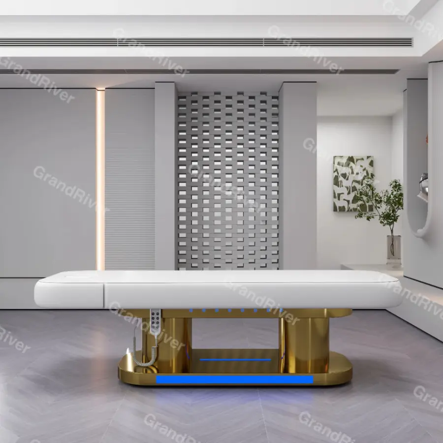 Modern Hot Selling SPA and Facial Treat Equipment and Massage Table with Oxford Leather Beauty Salon Furniture — image 7