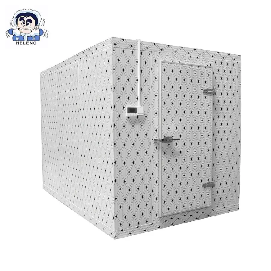Industrial-Grade 40-Foot Portable Refrigerated Cold Room for Frozen Food Logistics — view 1