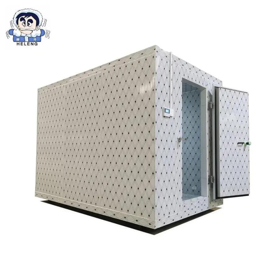Industrial-Grade 40-Foot Portable Refrigerated Cold Room for Frozen Food Logistics — image 3