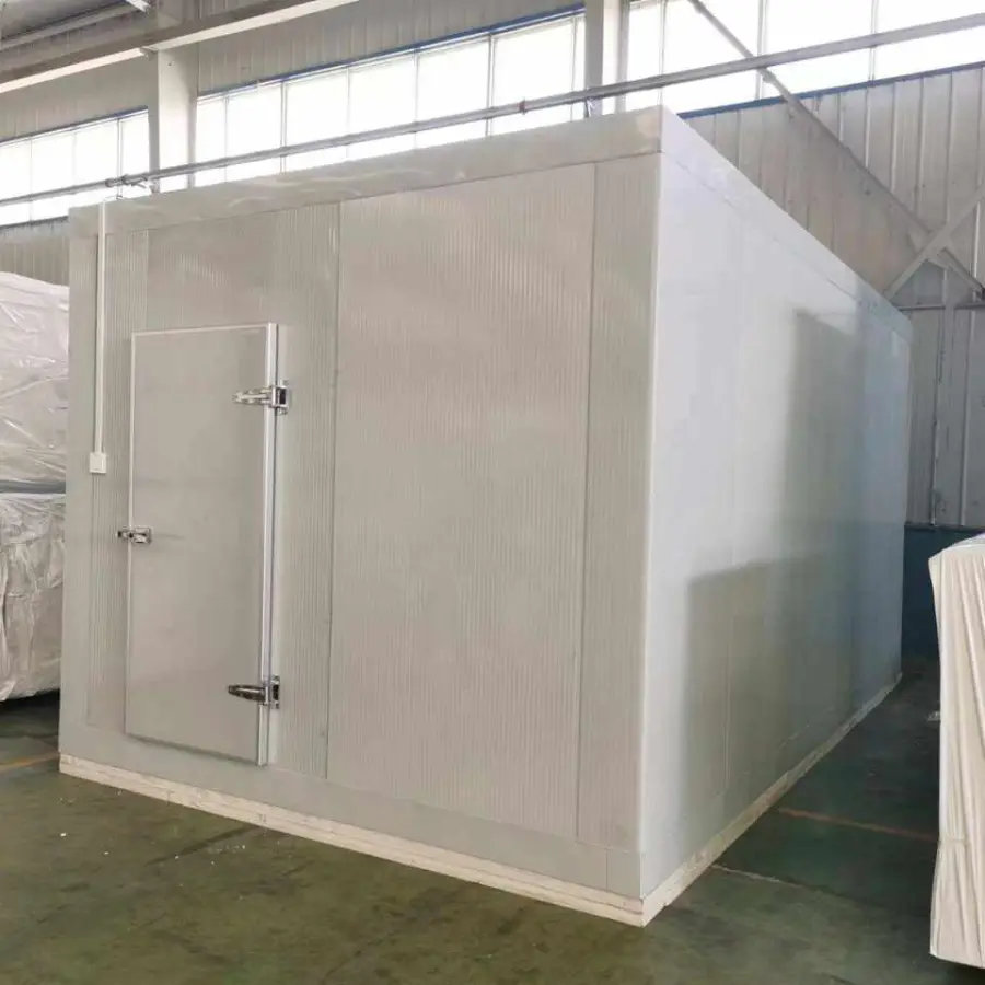 Factory Direct Sales Logistics Cold Storage Freezer Cold Room Project Walk in Chiller and Cooler for Ski-resort/ice rink/travel — image 3