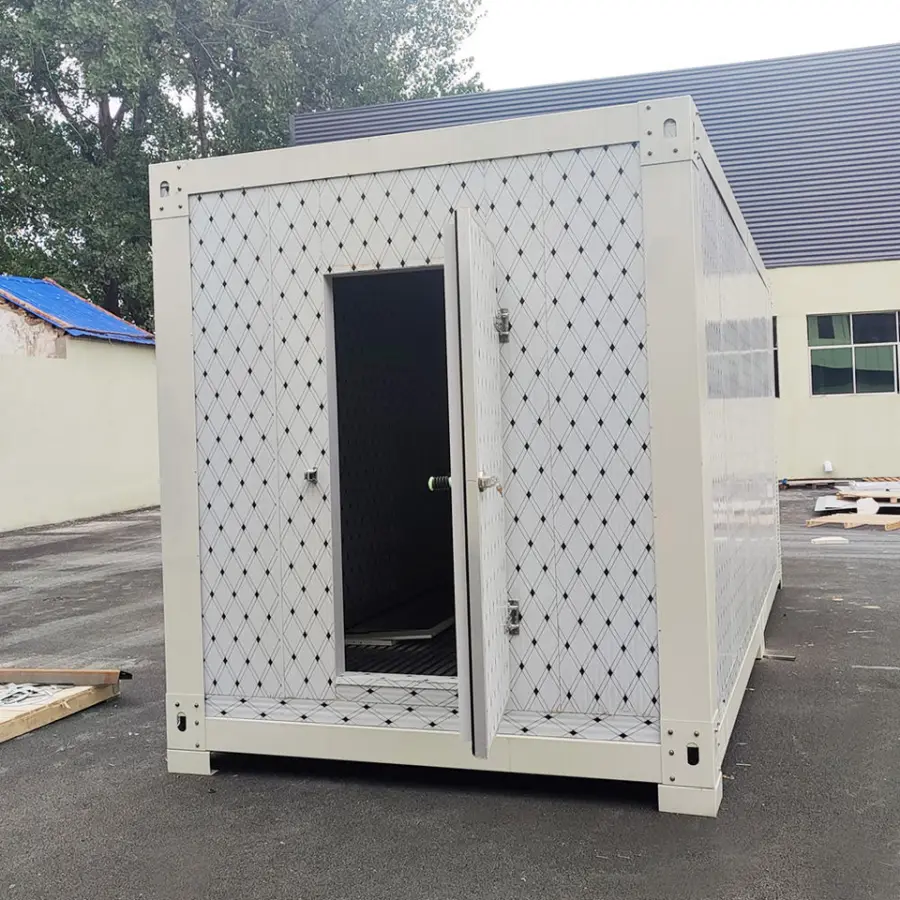 Factory Direct Sales Logistics Cold Storage Freezer Cold Room Project Walk in Chiller and Cooler for Ski-resort/ice rink/travel — image 5