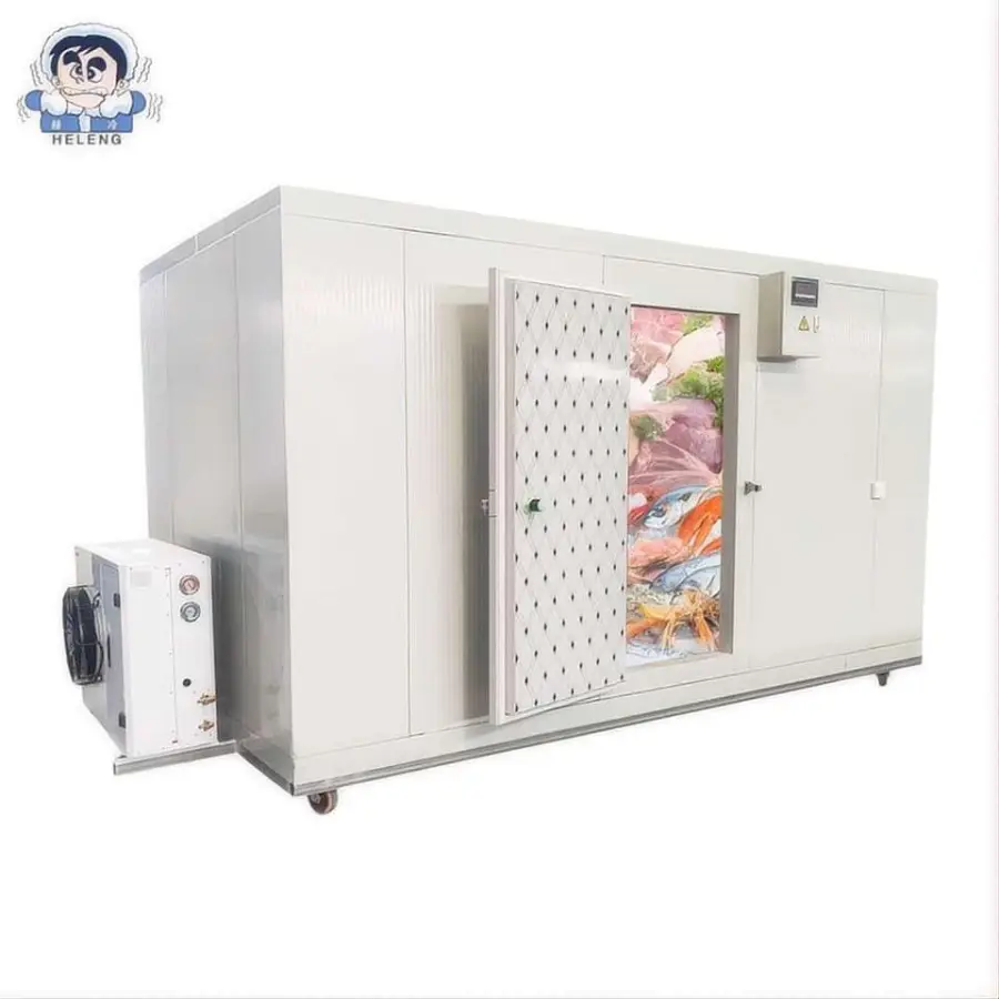 Energy-Saving Solar Powered Mobile Walk-In Freezer with Portable Cooling System for Fruits, Vegetables — view 1