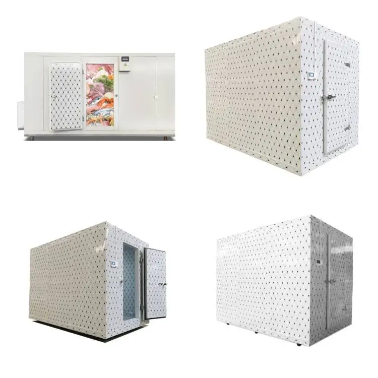 Factory Direct Sales Logistics Cold Storage Freezer Cold Room Project Walk in Chiller and Cooler for Ski-resort/ice rink/travel — image 6