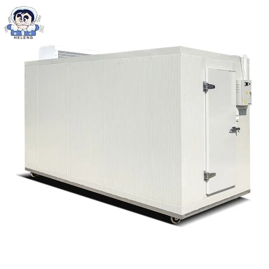 Energy-Saving Solar Powered Mobile Walk-In Freezer with Portable Cooling System for Fruits, Vegetables — view 2