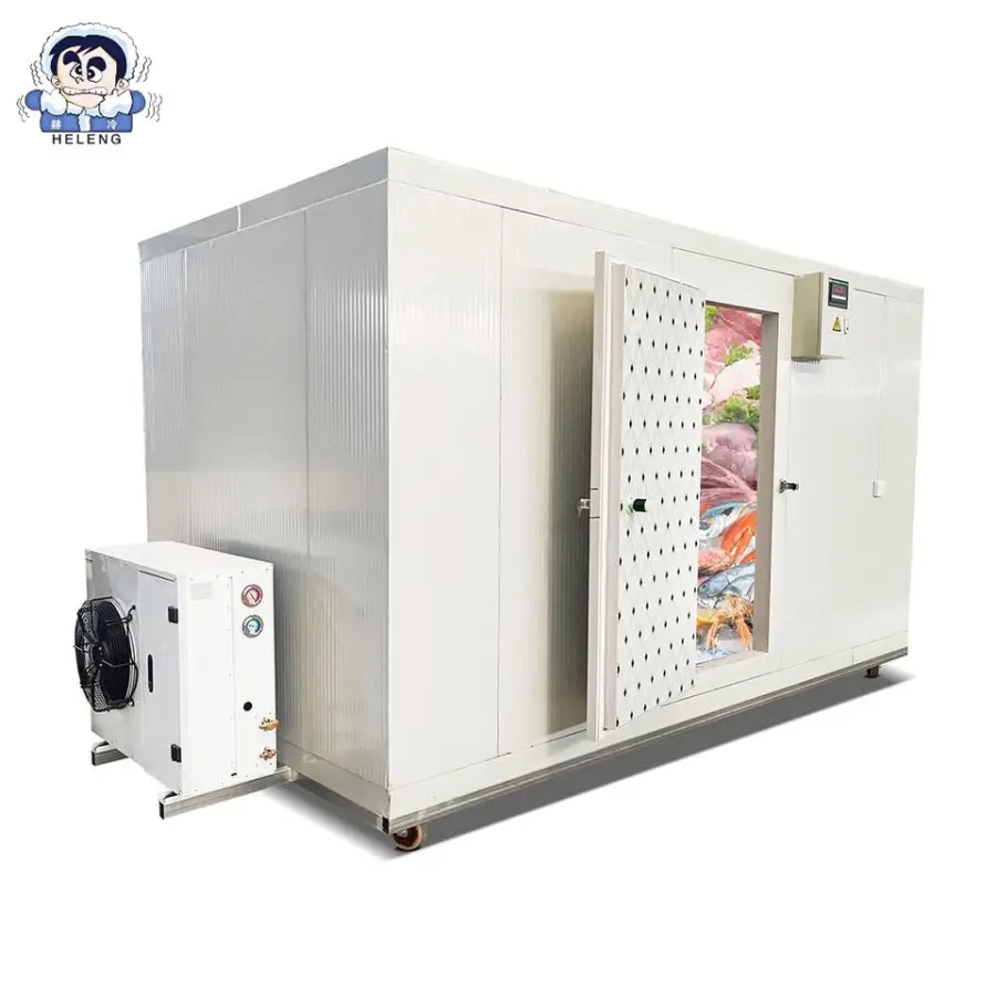 Energy-Saving Solar Powered Mobile Walk-In Freezer with Portable Cooling System for Fruits, Vegetables — view 4