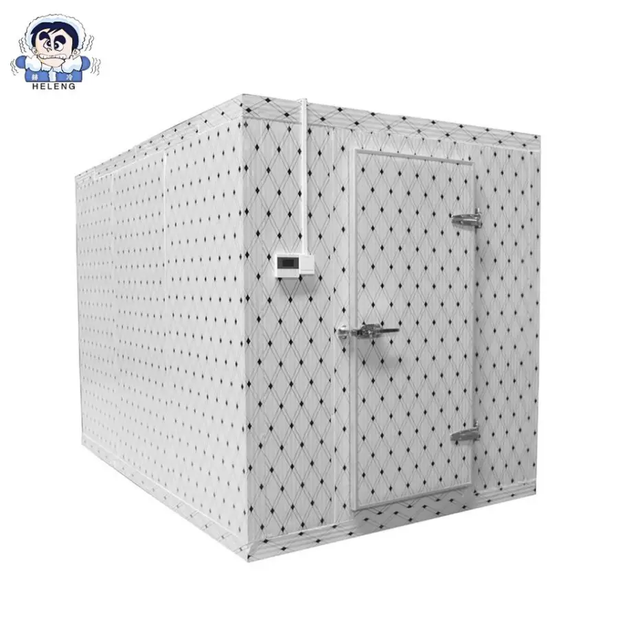 Energy-Saving Solar Powered Mobile Walk-In Freezer with Portable Cooling System for Fruits, Vegetables — view 5
