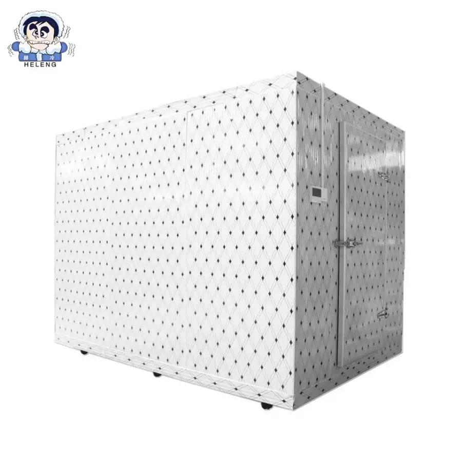 Energy-Saving Solar Powered Mobile Walk-In Freezer with Portable Cooling System for Fruits, Vegetables — view 6