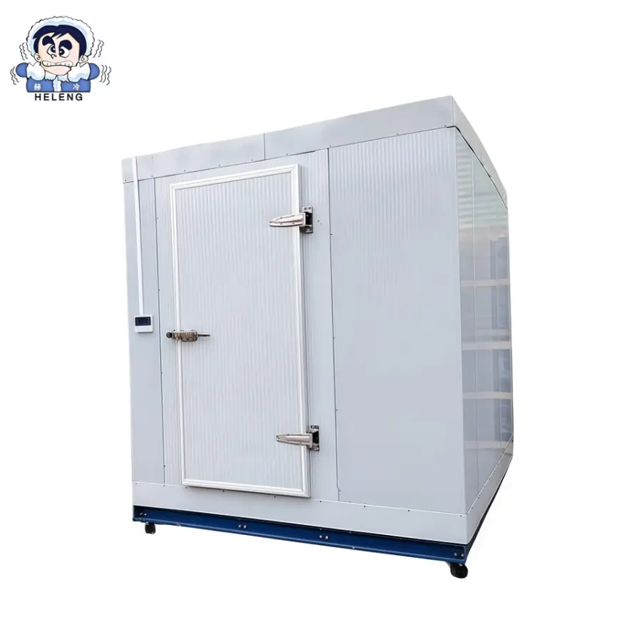 Blast Freezer Cold Storage Room for Meat and Seafood with Walk-In Design and Cooling System — image 3