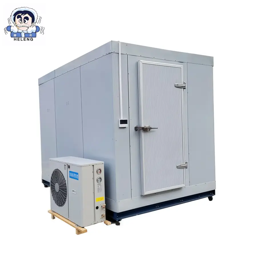 Blast Freezer Cold Storage Room for Meat and Seafood with Walk-In Design and Cooling System — image 4