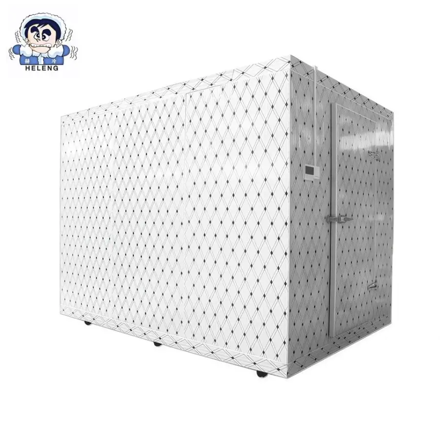 Portable Energy-Efficient 40-Foot Large Mobile Cold Storage for Freezing Fish, Vegetables and Fruits — image 5