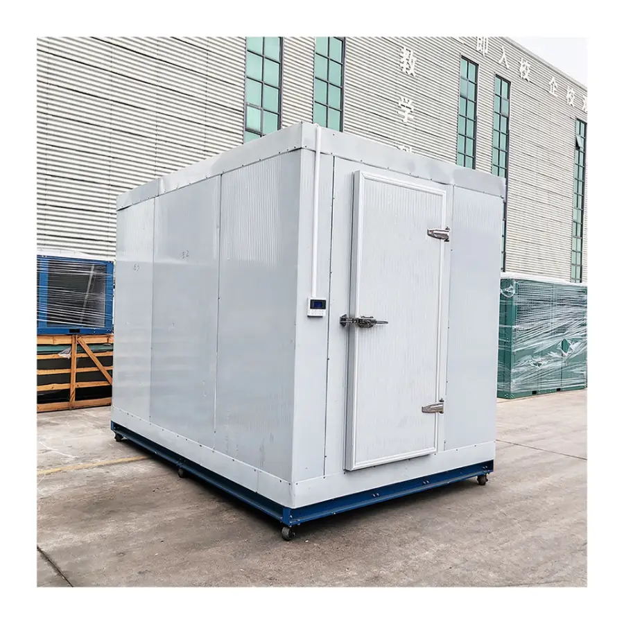 -60 Degrees Freezer Cold Storage Room — image 5