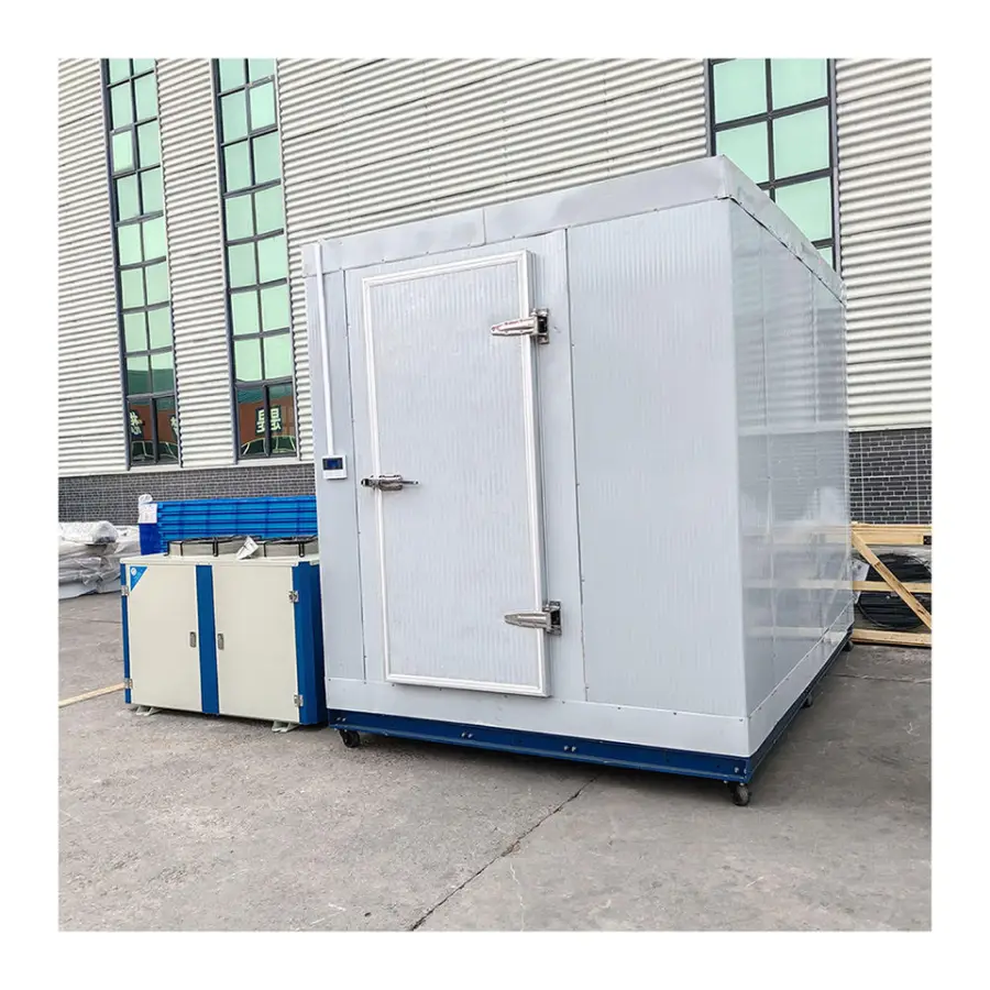 -60 Degrees Freezer Cold Storage Room — image 6