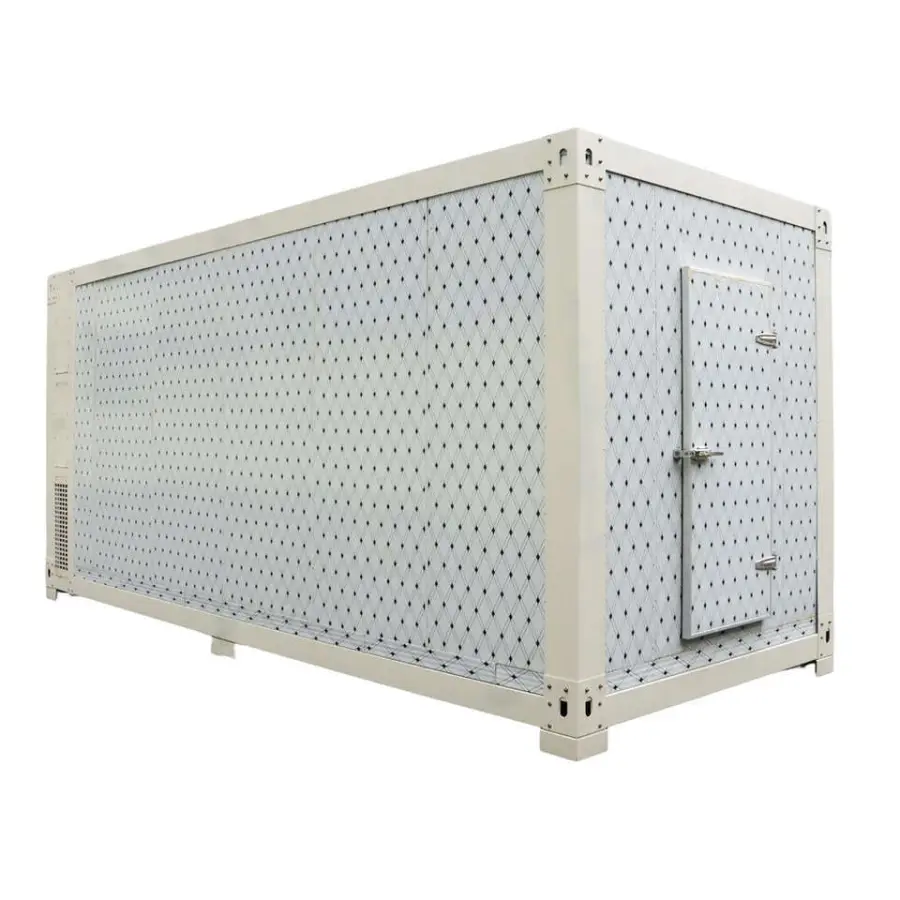 Tanzania 6m Cold Storage Cold Room Refrigeration Camera for Sea Food Cold Chamber for Ice Cream Freezer — view 1