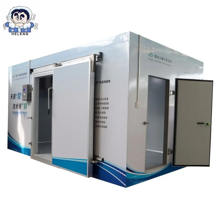 Tanzania 6m Cold Storage Cold Room Refrigeration Camera for Sea Food Cold Chamber for Ice Cream Freezer — image 6