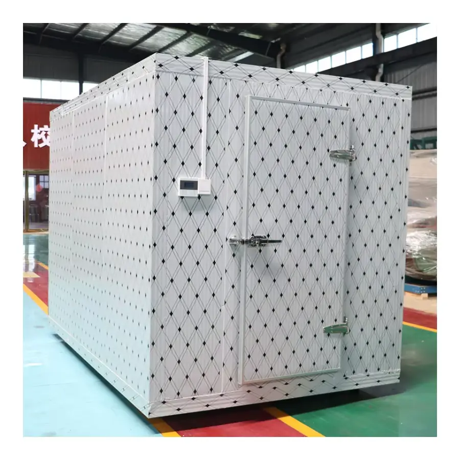 Customizable 40ft Container Quick Freezing Litchi Blast Freezer Hotel Frozen Storage Cold Room Storage on Sale — image 6