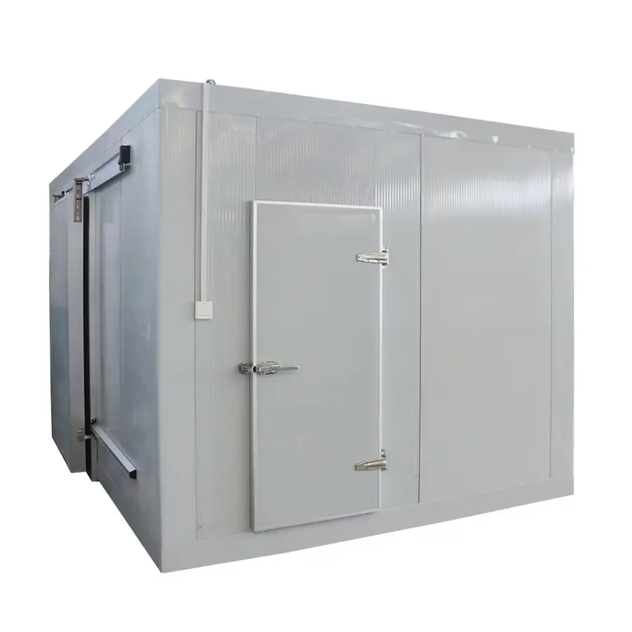 Customized Portable Walk in Cooler Mini Chicken Cool Cooling Room Chambre Froide Blast Freezer Cold Rooms — view 1