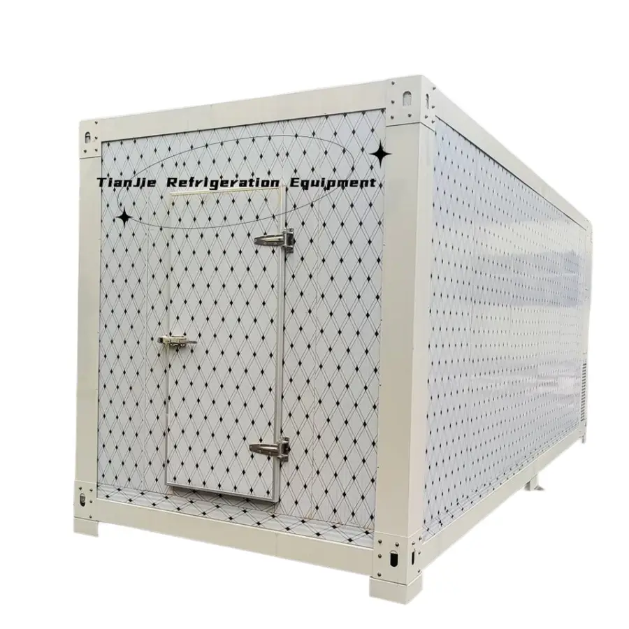Customizable 40ft Container Quick Freezing Litchi Blast Freezer Hotel Frozen Storage Cold Room Storage on Sale — image 7