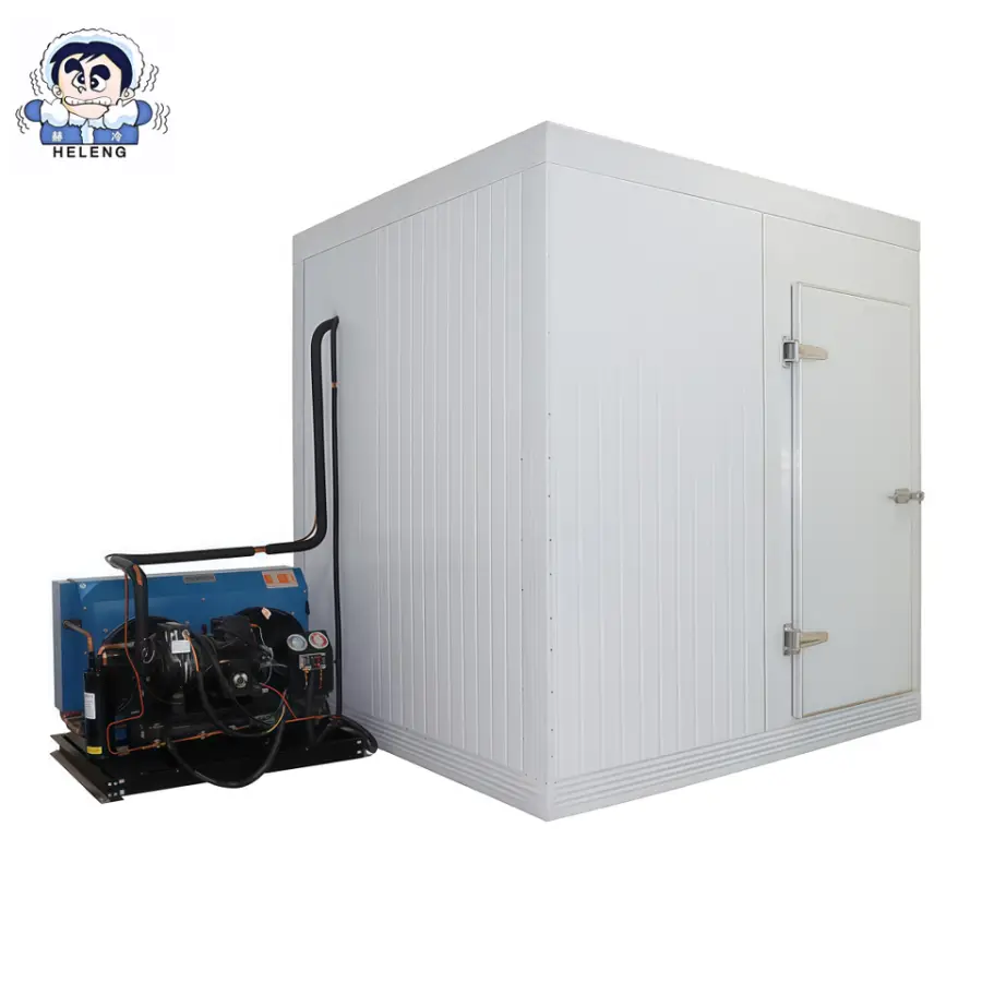 High Quality of 2026 Supply Industrial Walk in Deep Freezer Fish Storage Cold Room — view 1
