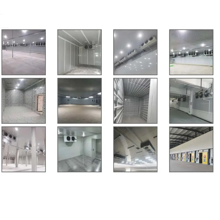 High Quality of 2026 Supply Industrial Walk in Deep Freezer Fish Storage Cold Room — image 2