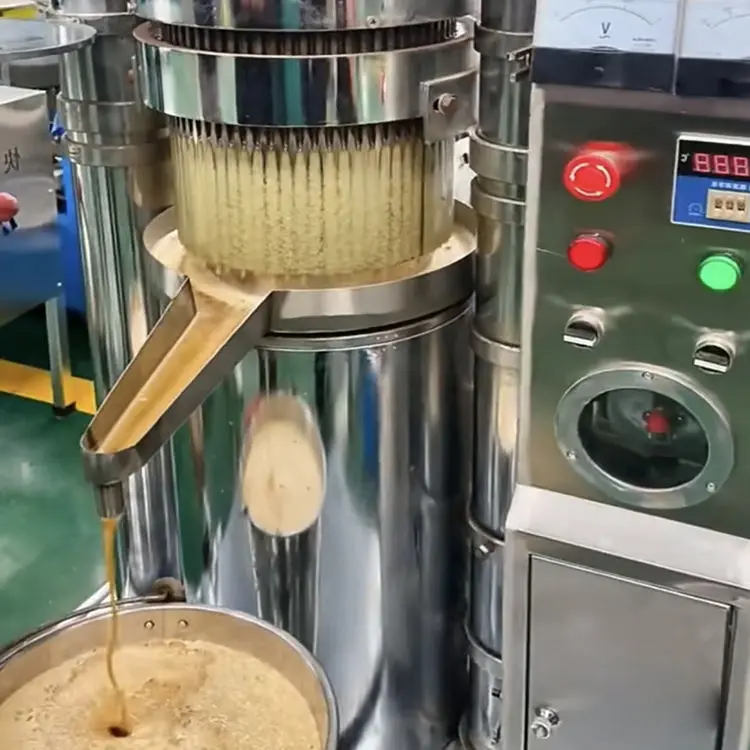 Organic Sunflower Oil Pressing and Refining Mini Machine Olive Plant Hydraulic Oil Cold Oil Press for Home Use in South Africa — image 4