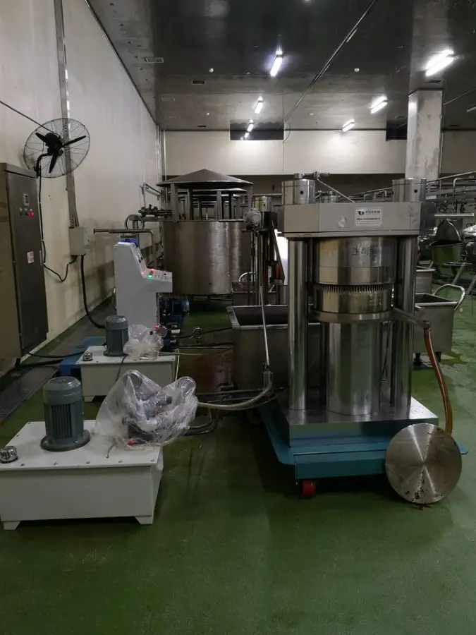 Organic Sunflower Oil Pressing and Refining Mini Machine Olive Plant Hydraulic Oil Cold Oil Press for Home Use in South Africa — image 6