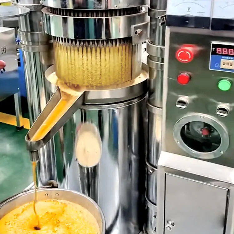 High Quality Industrial Palm Fruit Oil Press Machine Automatic Groundnut Sesame Hydraulic Cold Press Oil Extractor Machine — image 5