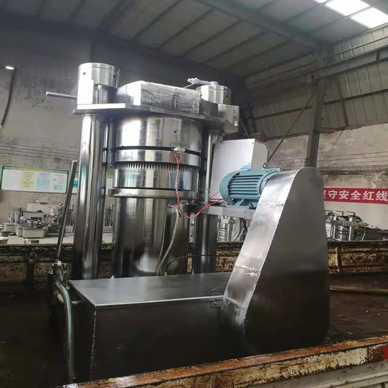 Coconut Olive Cocoa Seseme Avocado Oil Extraction Mustard Oil Pressersmaking Machine With Filters in USA Africa — image 6