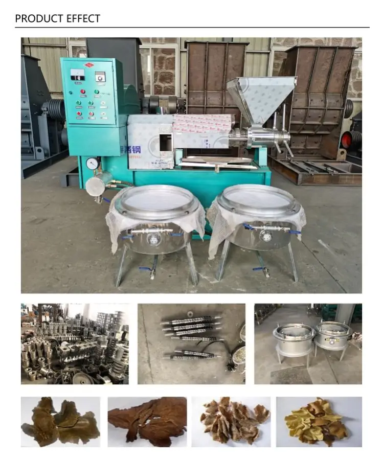 500kg Hour 220V/380V/440V Industrial Vegetable Extract Sunflower Cook Process Cold Oil Press Machine Oil Mill for Sale — image 4