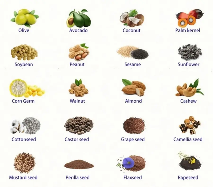 500kg Hour 220V/380V/440V Industrial Vegetable Extract Sunflower Cook Process Cold Oil Press Machine Oil Mill for Sale — image 5
