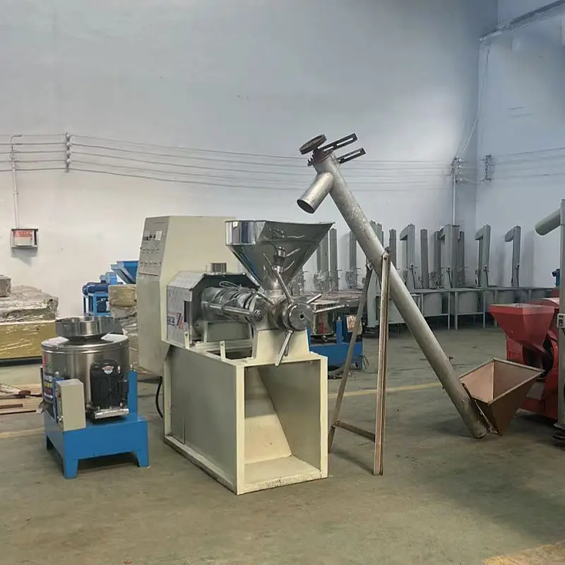 Industrial Oil Press Machine Home Use Oil Press Automatic Press Oil Olive — view 2