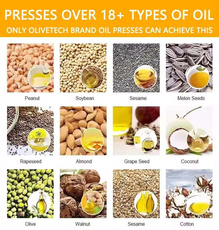 Automatic Hydraulic Sesame Oil Press Machine Virgin Coconut Oil Machine Turkey Sunflower Oil Pressing Machine — image 6