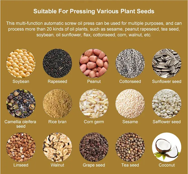 Commercial Oil Press Expeller Palm Avocado Coconut Oil Extraction Machine Avocado Oil Making Machine — image 6