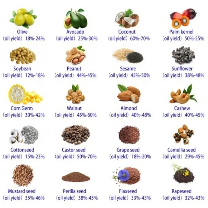 OT-180 Hydraulic Oil Press Machine Avocado Sunflower Peanuts Seeds Olive Oil Cocoa Oil Extraction Cold Press Machine — image 4