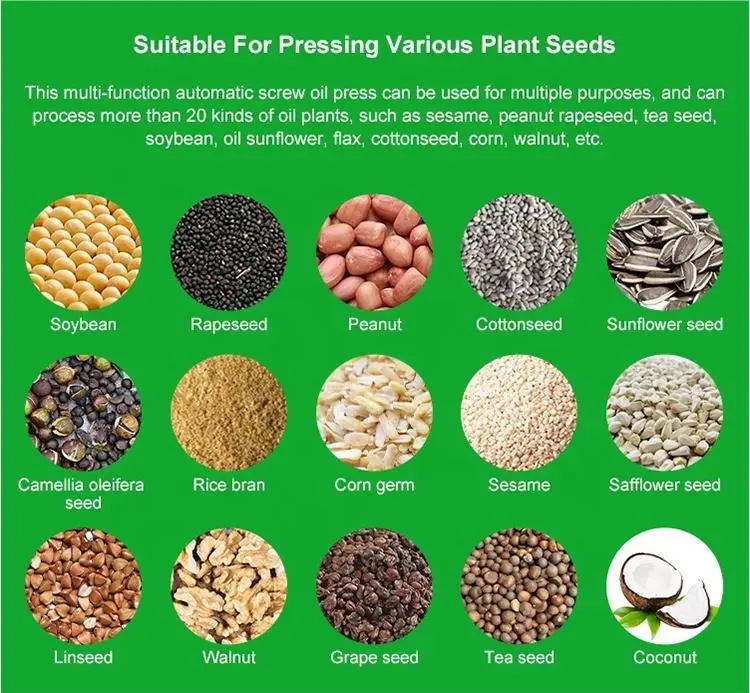 2024 New Hydraulic Olive Oil Pear Seed Coconut Oil Cocoa Butter Hydraulic Press — image 7