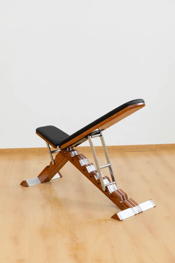 Adjustable Gym Bench for Home Fitness Foldable Dumbbell Training Bench with Dumbbell Rack for Weight Training1 — image 5